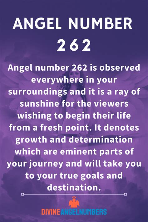 262 angel number love|Angel Number 262 Meaning: Love Will Guide You